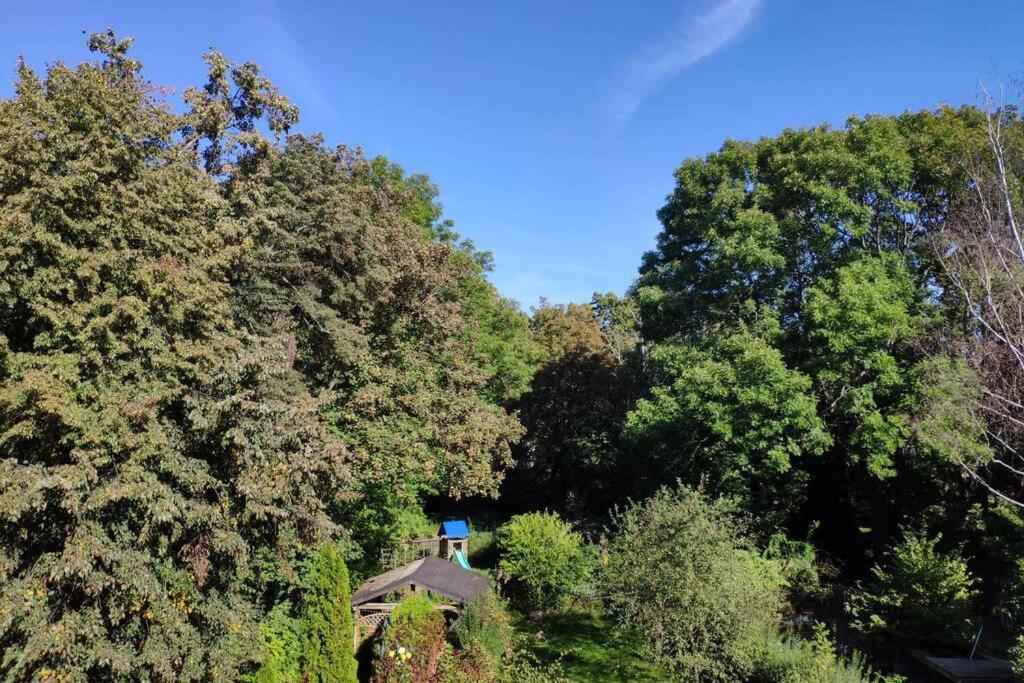 Ferienwohnung Mit 123Qm Fuer 8 Personen Mit Sehr Grossem Garten, Einfache Innen-Ausstattung Leipzig Eksteriør billede